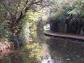 The Canal, Froghall